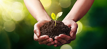 Adobestock 197333590 Crop