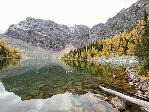 Mountain Larches (Marlene E) Mountain Larches (Marlene E)