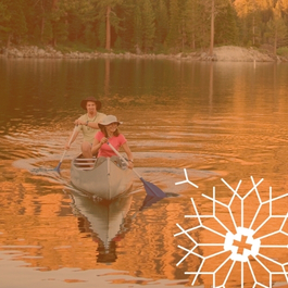 Hightlights TFSA (1)